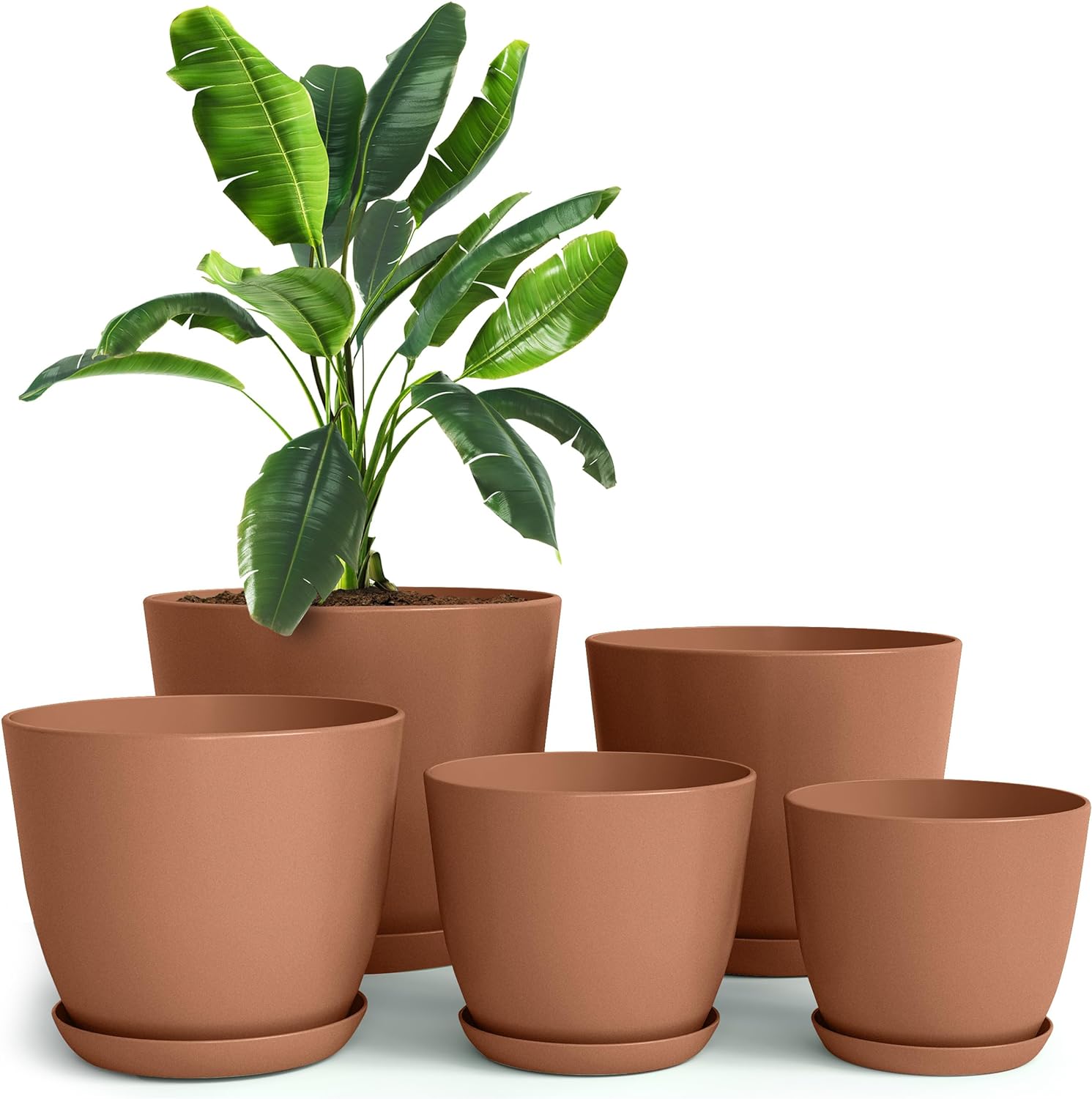 Utopia Home Plant Pots Indoor with Drainage Holes