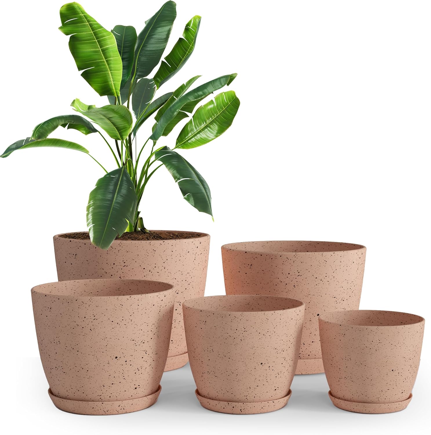 Utopia Home Plant Pots Indoor with Drainage Holes