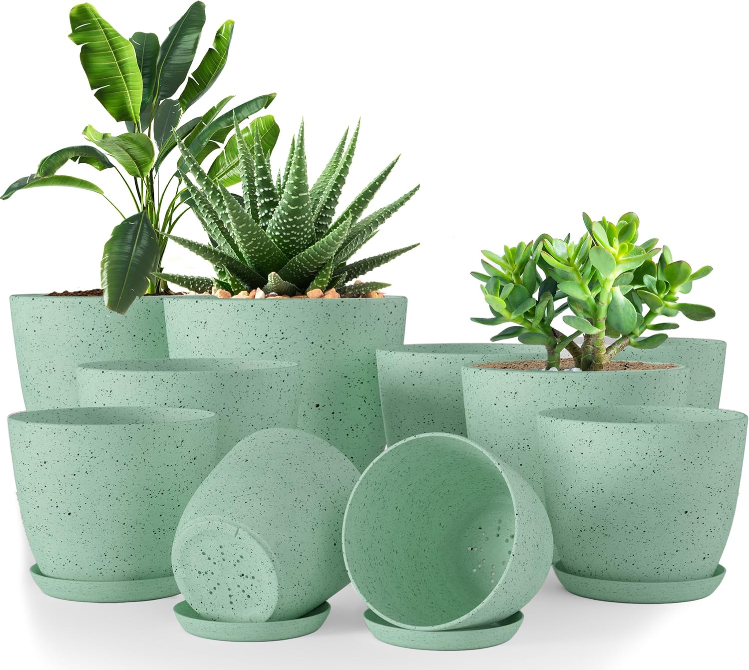 Utopia Home Plant Pots Indoor with Drainage Holes