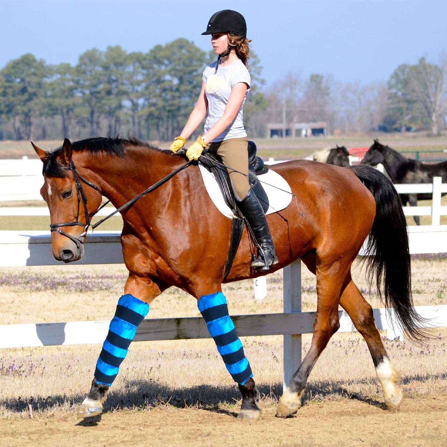Horse Ice Boots Reusable Gel Horses Ice Pack