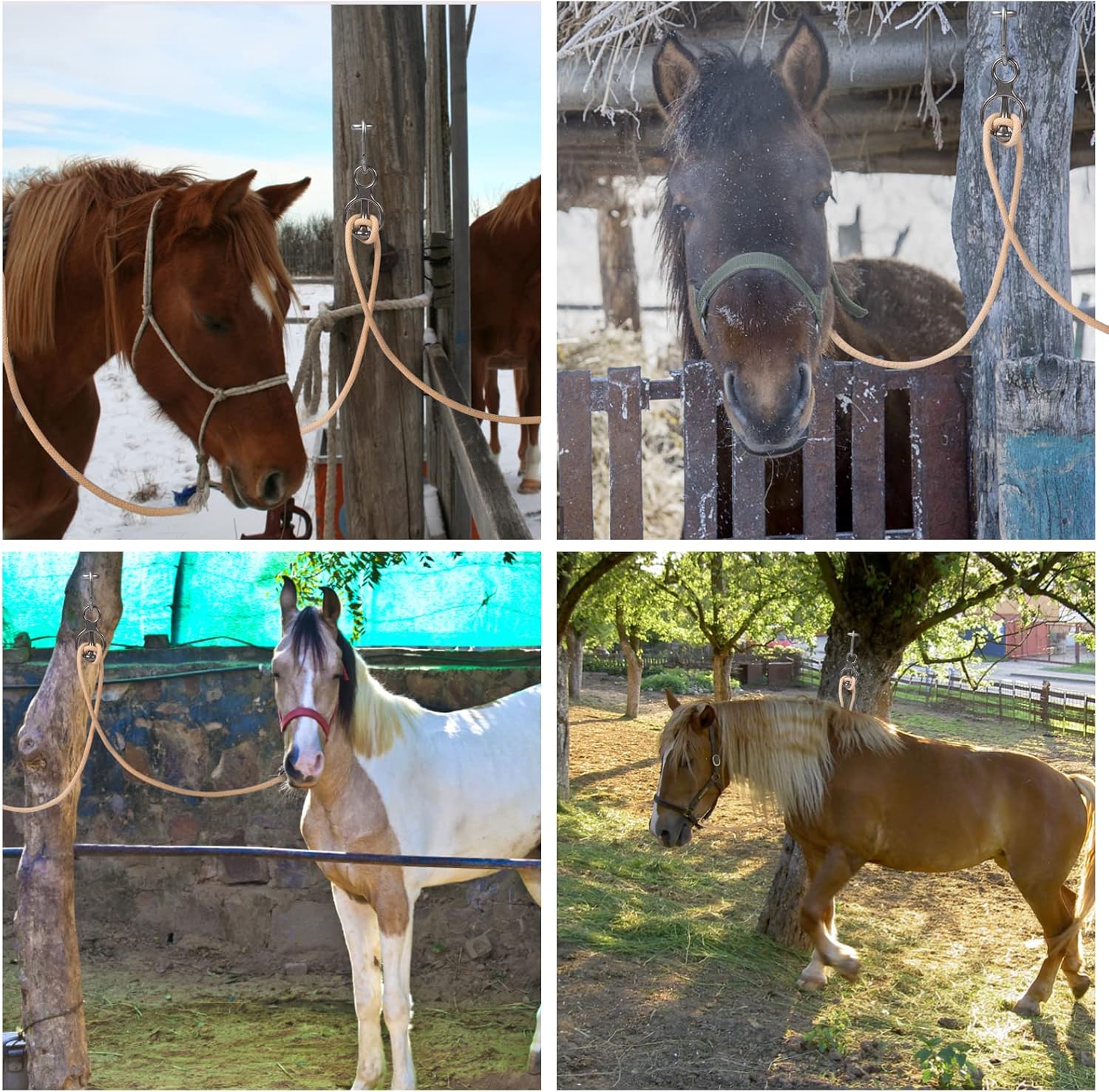 Blocker tie Ring for Horses tack and Supplies Accessories