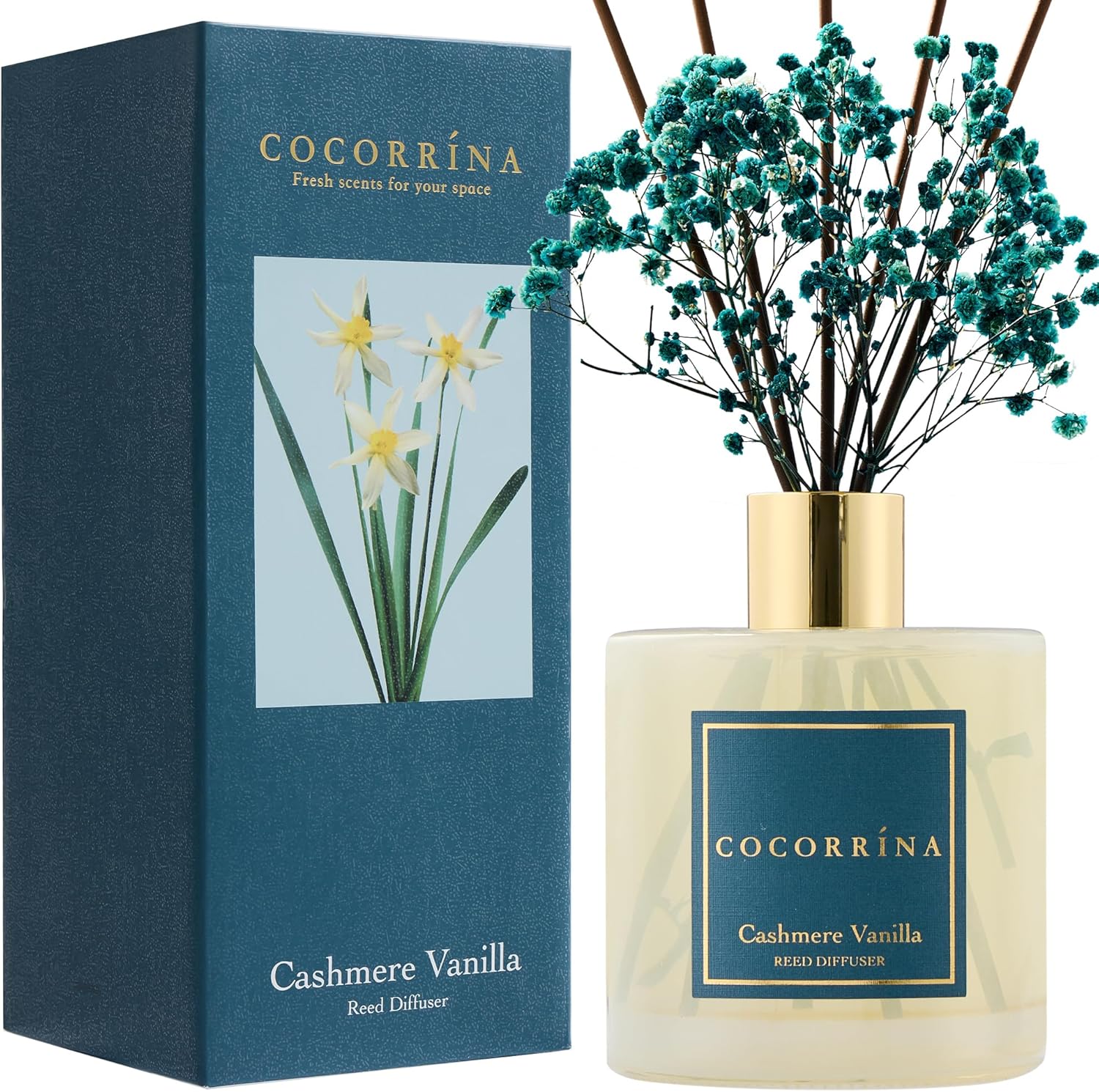 Cocorrína Reed Diffuser Set