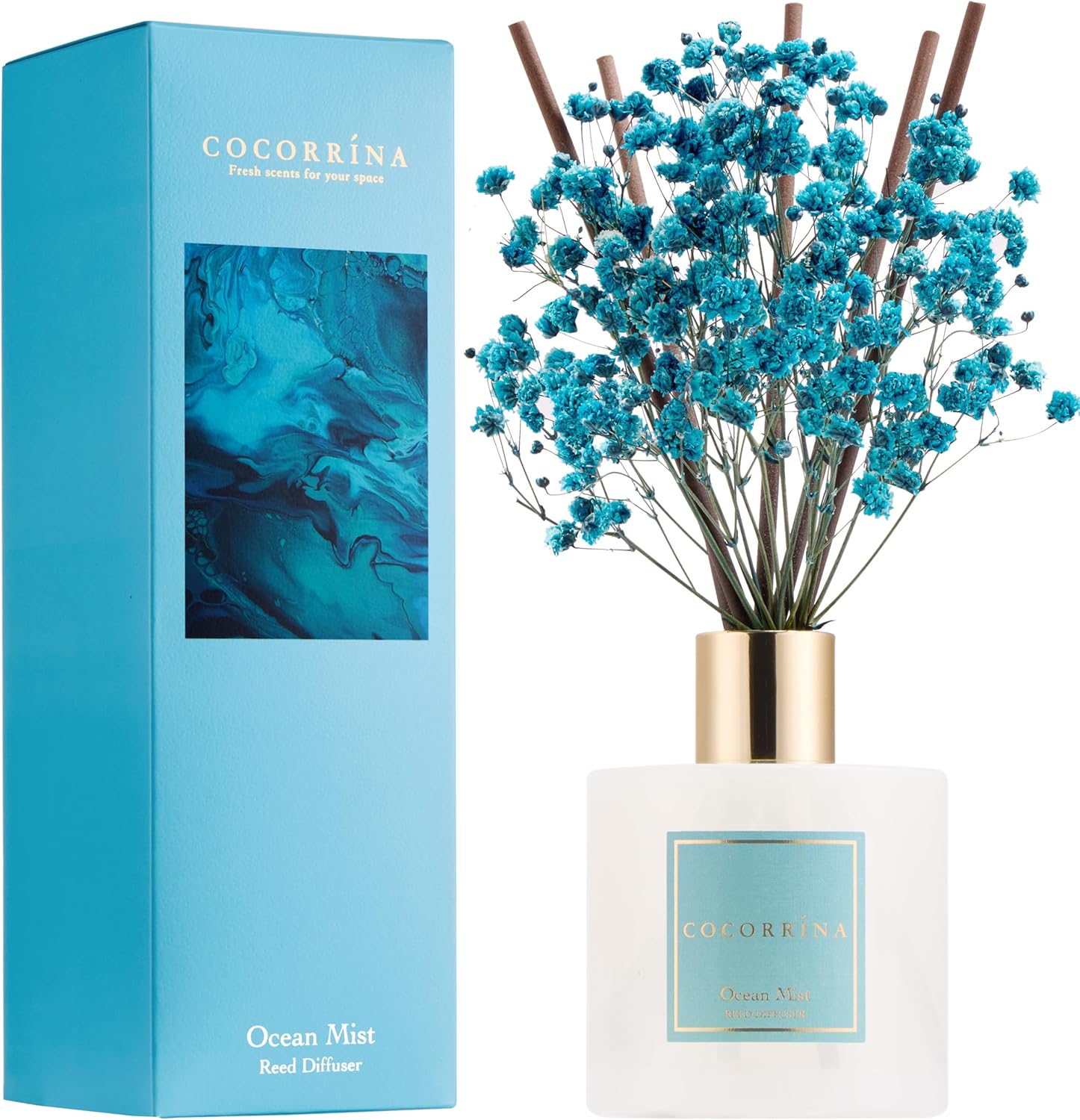 Cocorrína Reed Diffuser Set