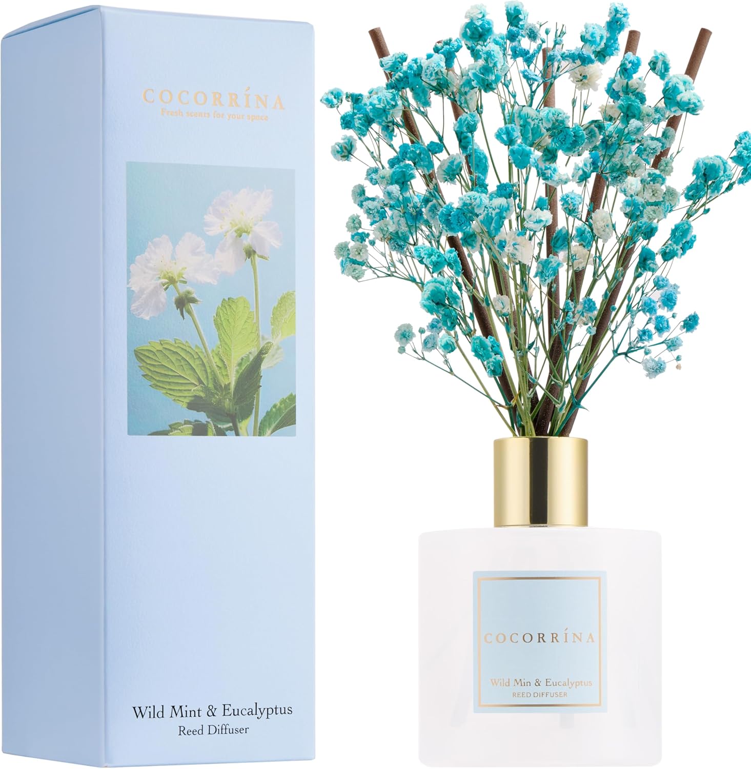 Cocorrína Reed Diffuser Set