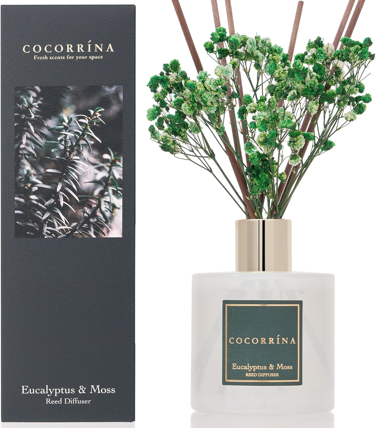 Cocorrína Reed Diffuser Set