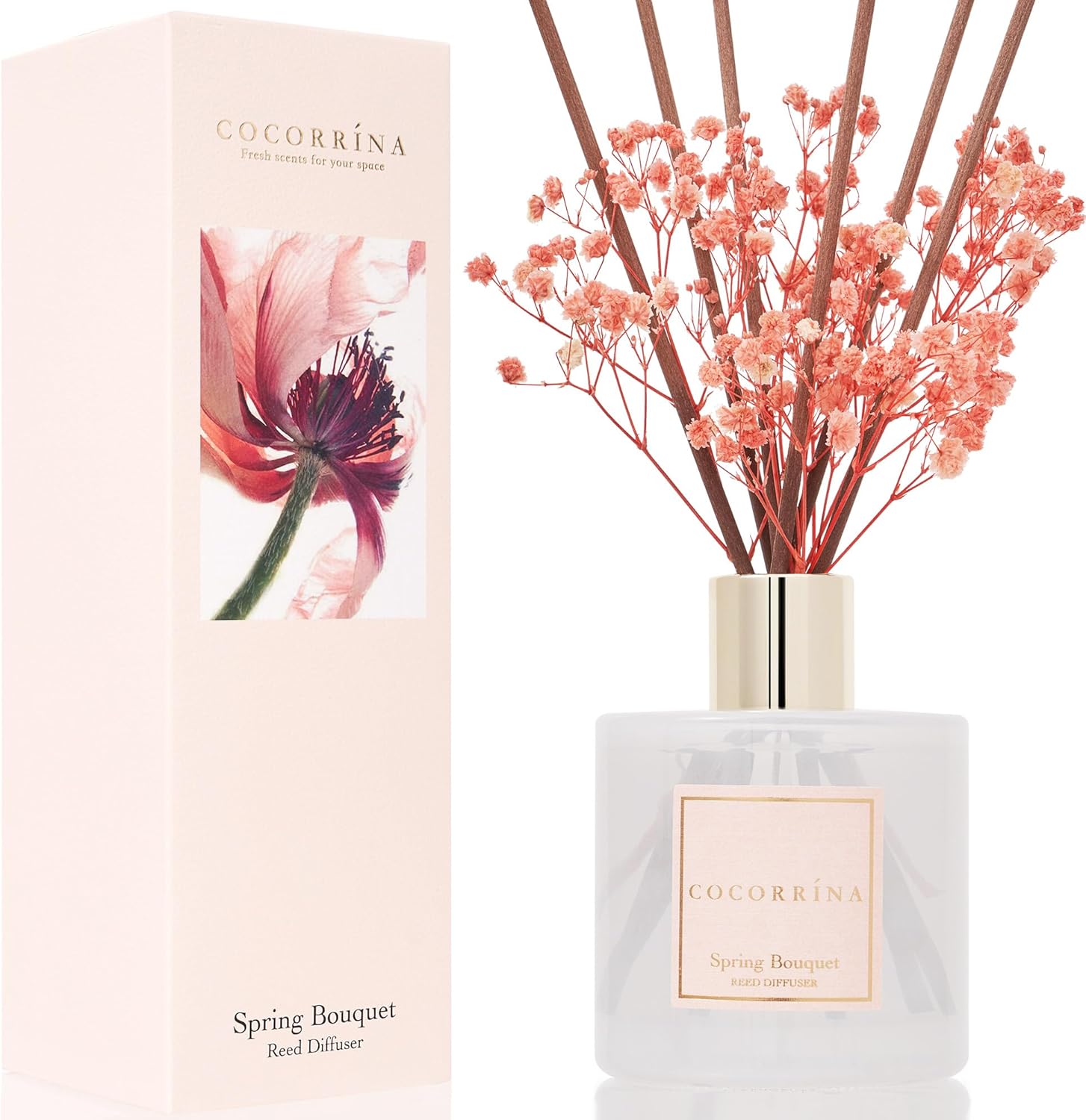 Cocorrína Reed Diffuser Set