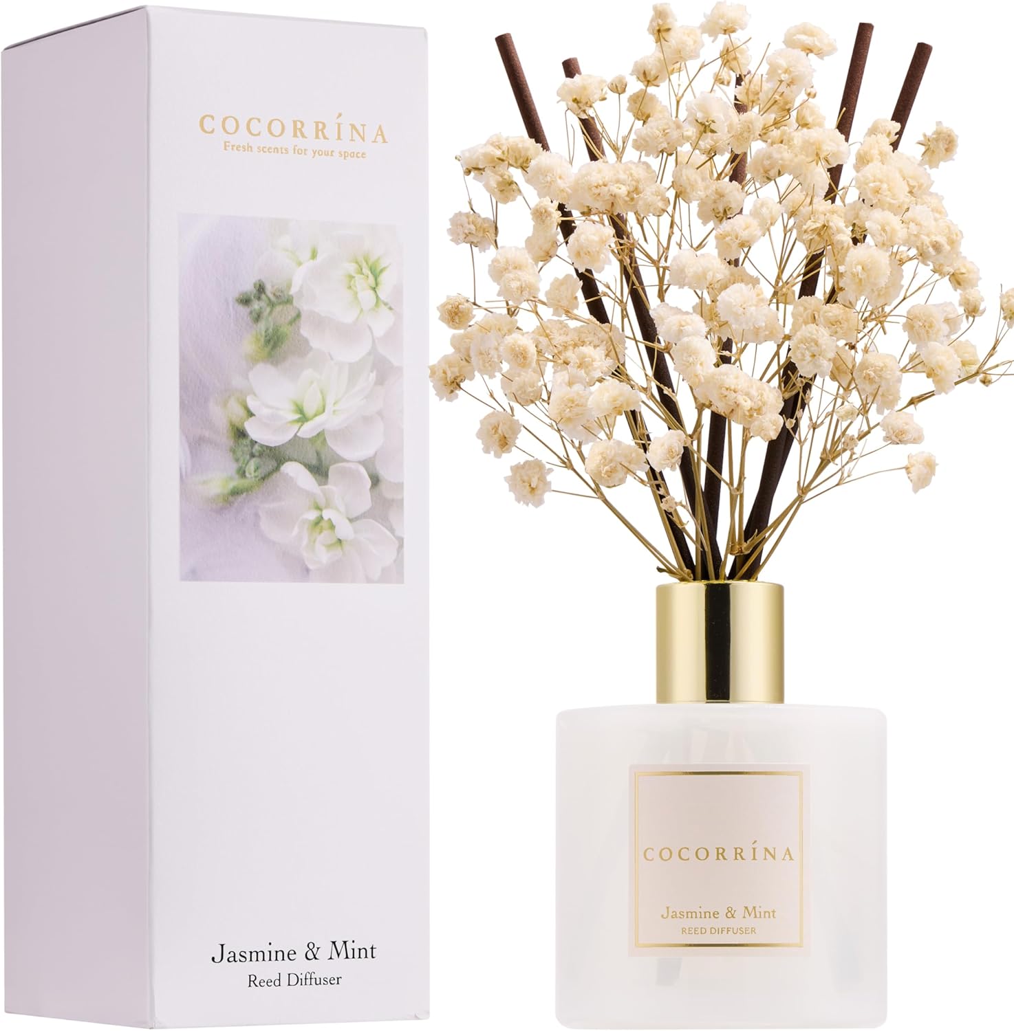 Cocorrína Reed Diffuser Set