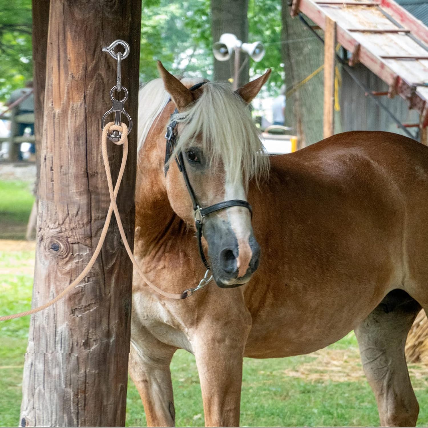 Blocker tie Ring for Horses tack and Supplies Accessories