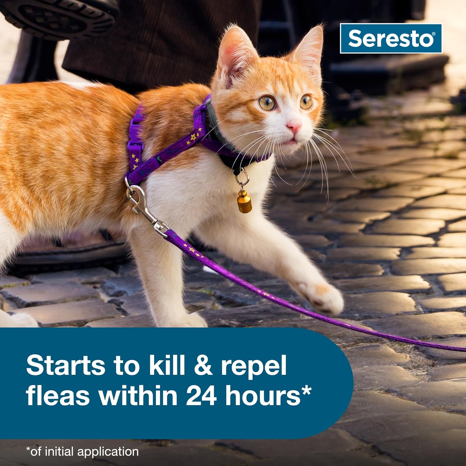 Seresto Cat Flea & Tick Collar
