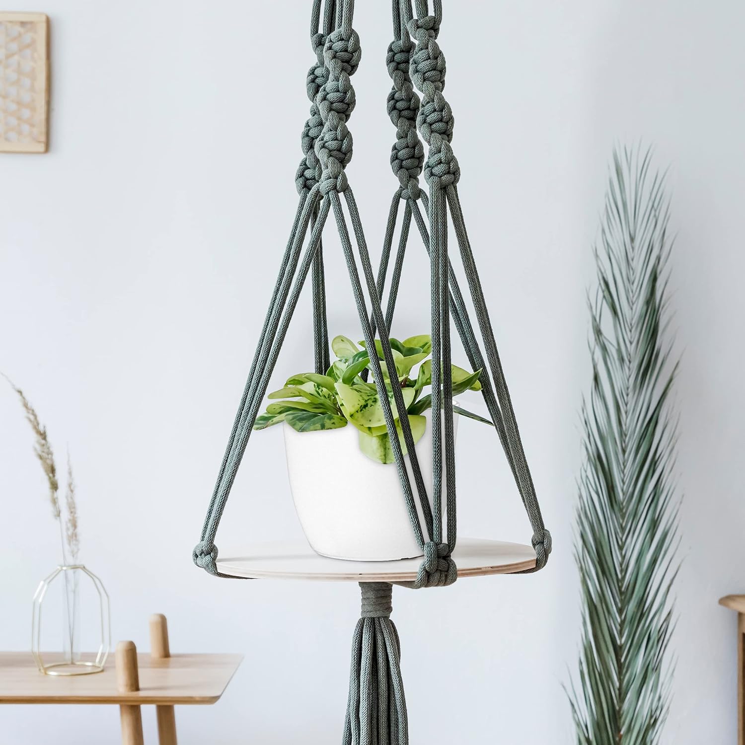 Utopia Home Plant Pots Indoor with Drainage Holes