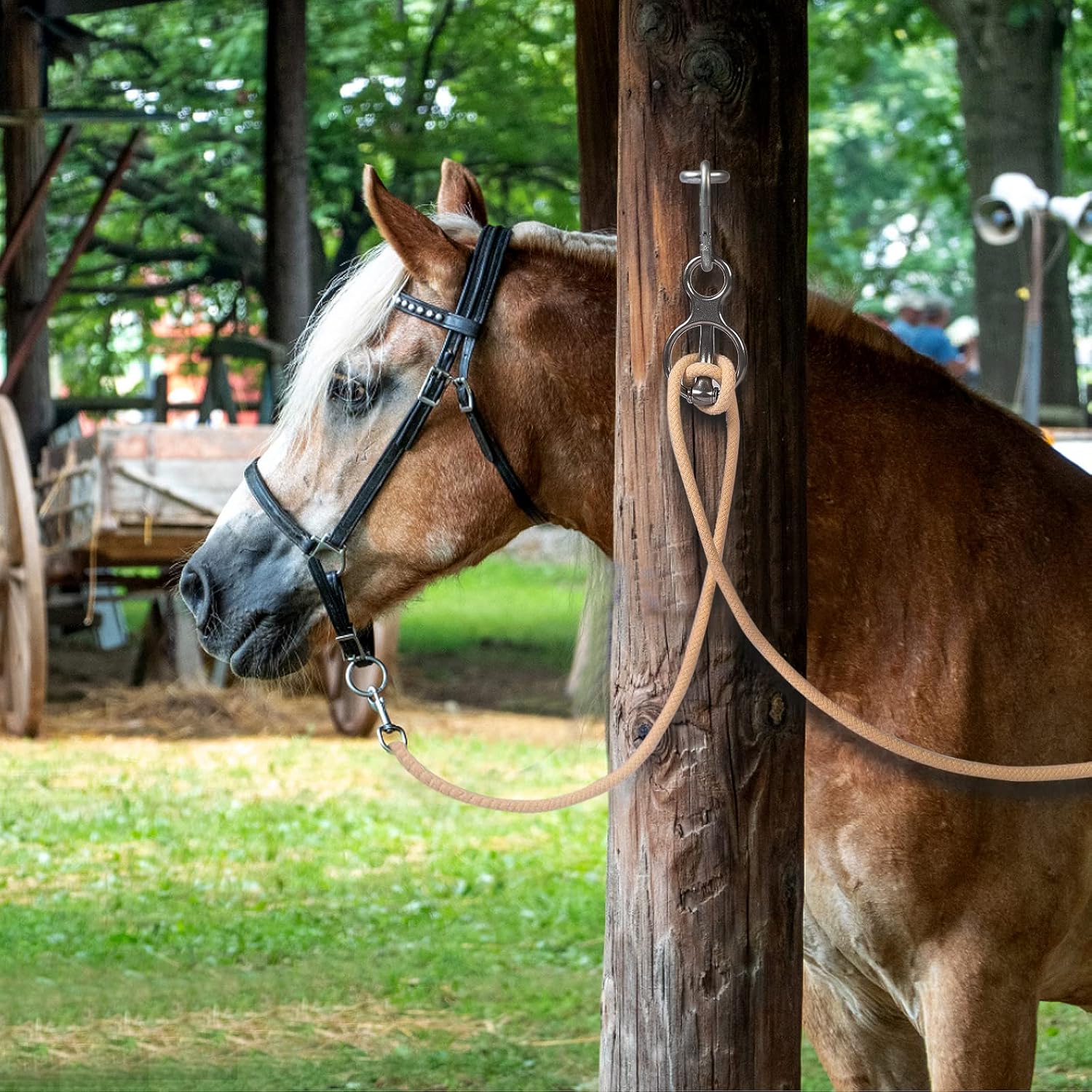 Blocker tie Ring for Horses tack and Supplies Accessories