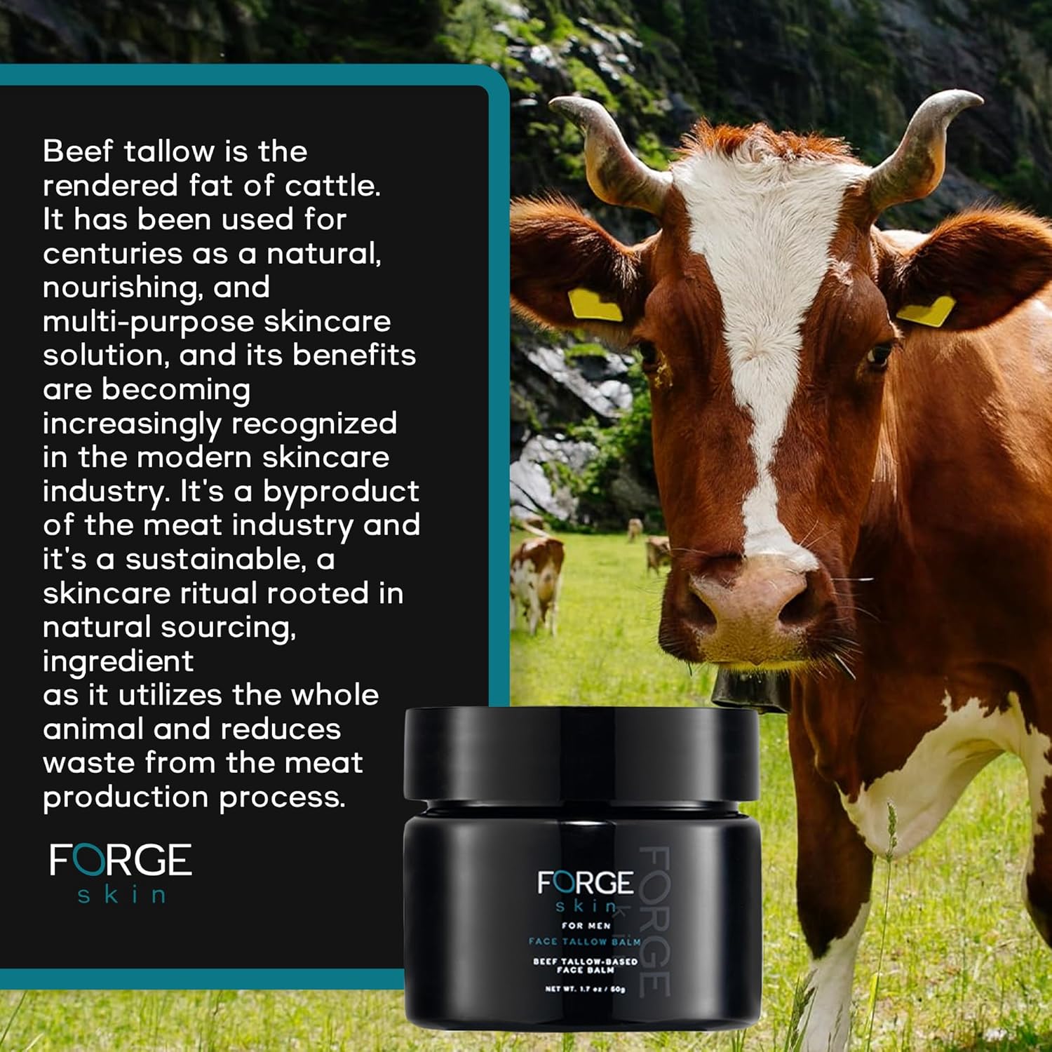 The Forge Skin Men’s Beef Tallow Balm