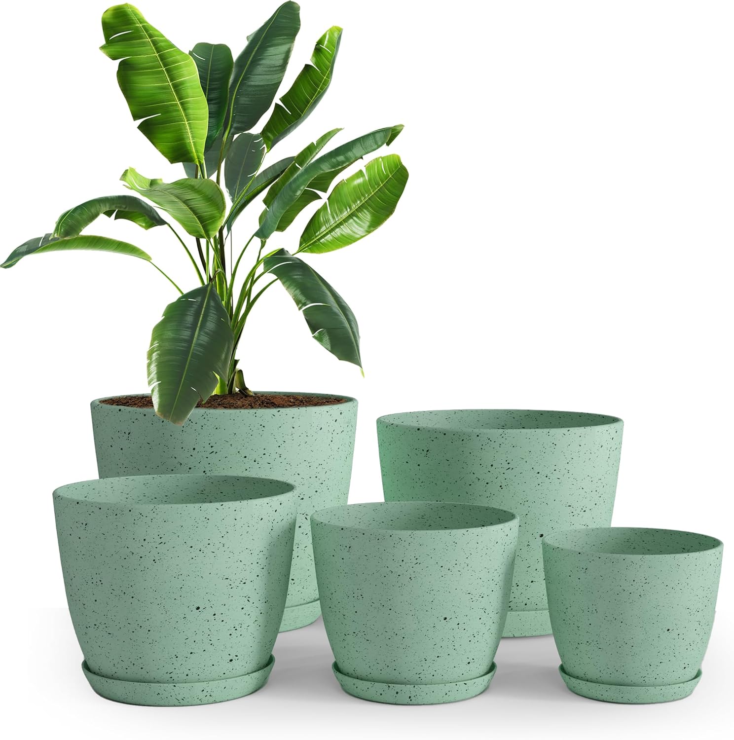 Utopia Home Plant Pots Indoor with Drainage Holes