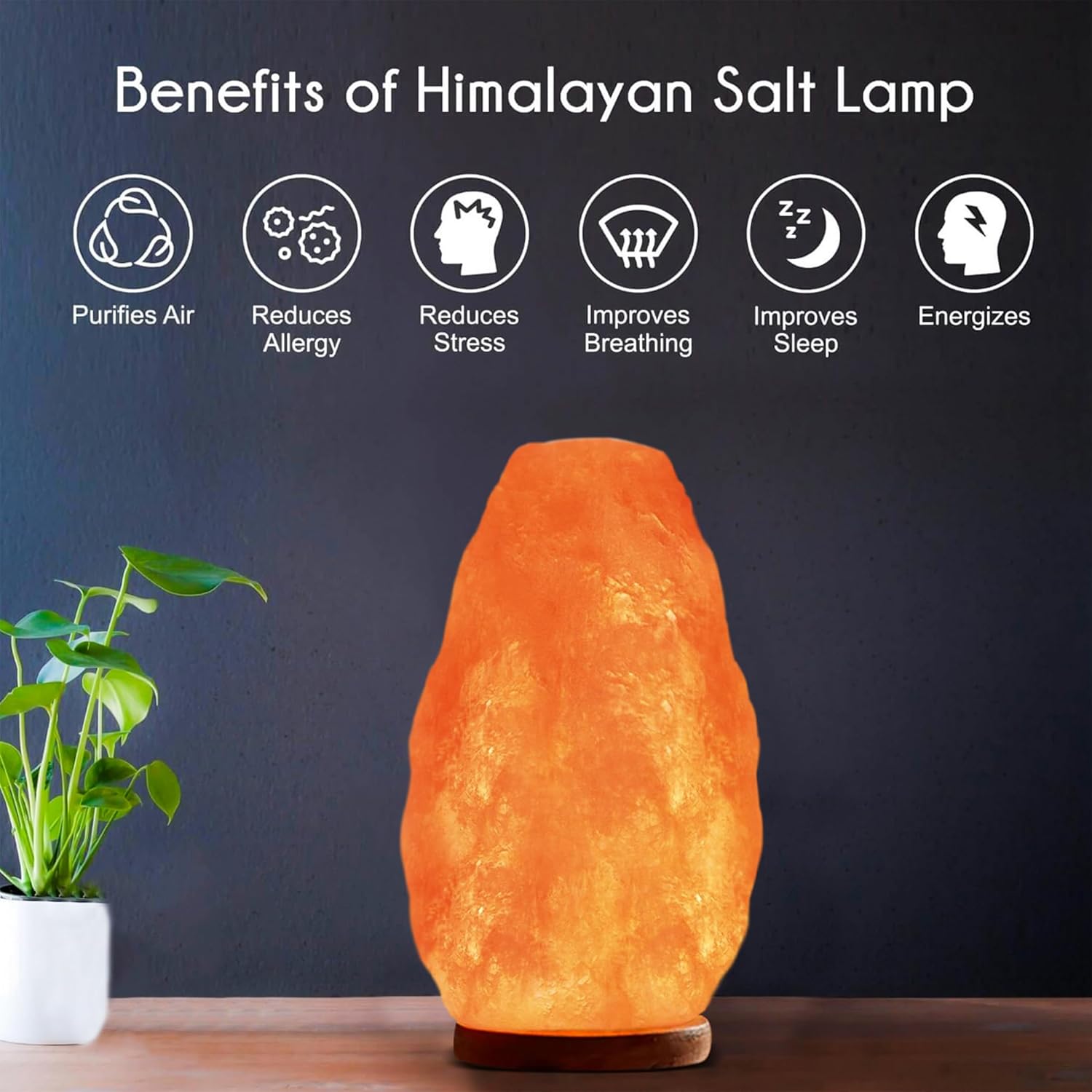 Himalayan Glow Salt Lamp