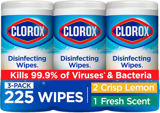 Clorox Disinfecting Wipes Household Essentials