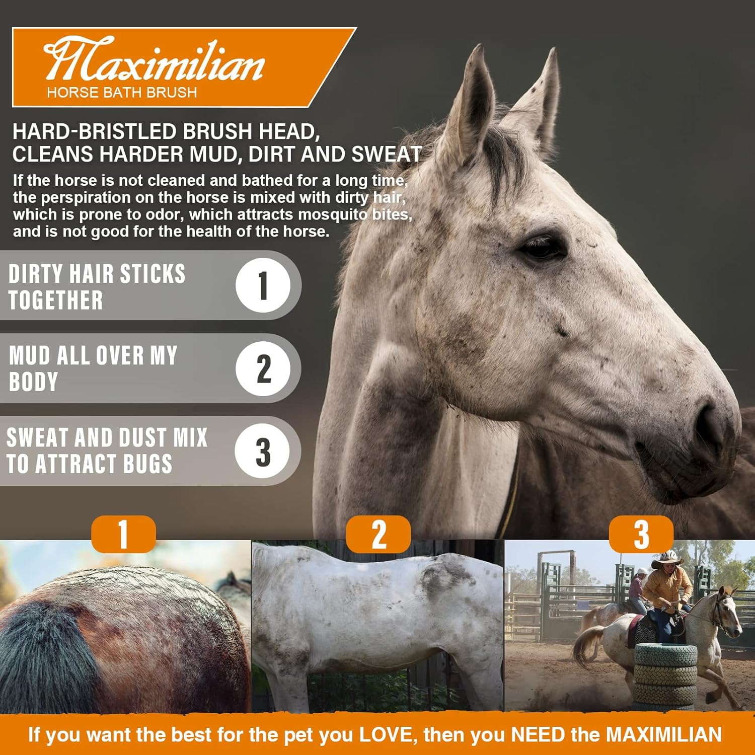 MAXIMILIAN World Class Handmade Body Horse Brush