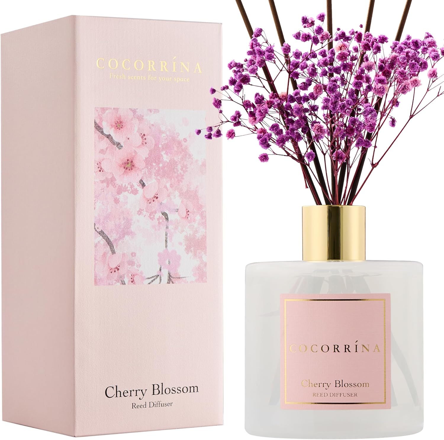 Cocorrína Reed Diffuser Set