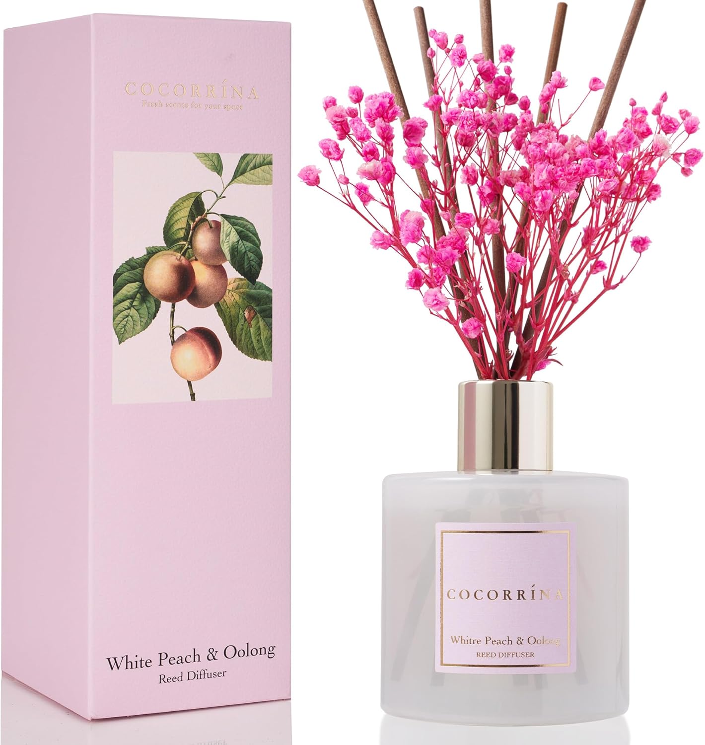 Cocorrína Reed Diffuser Set