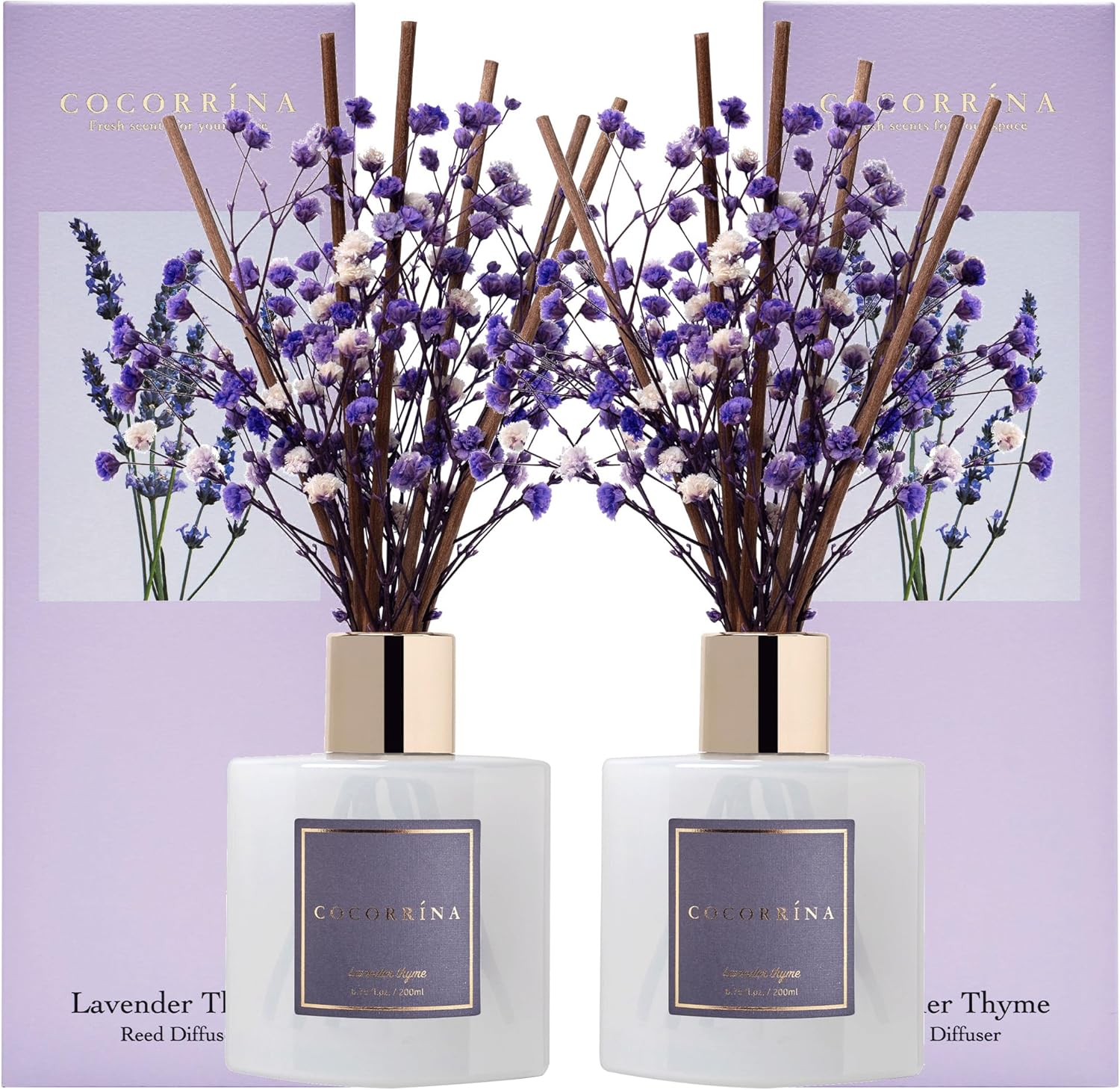 Cocorrína Reed Diffuser Set