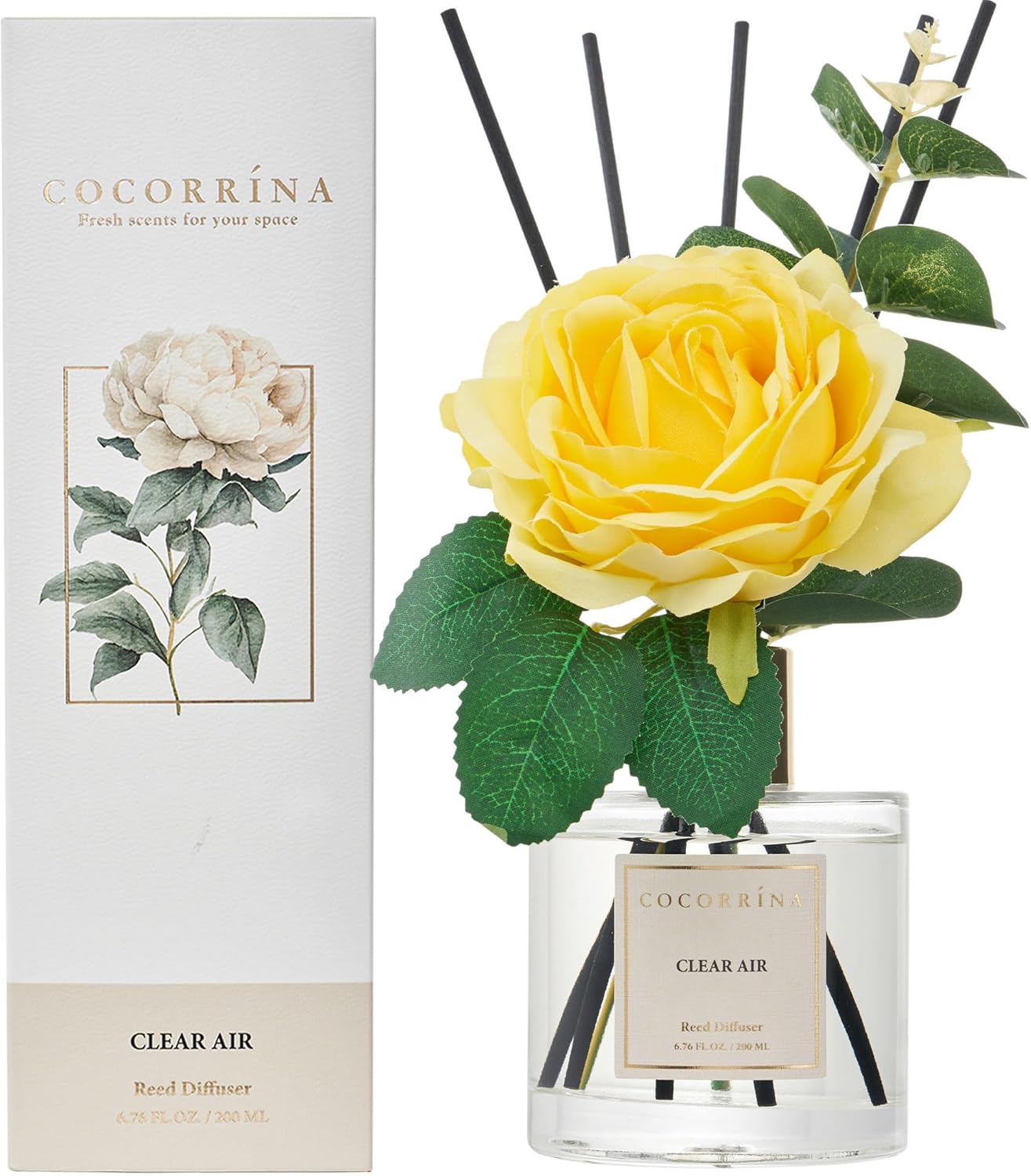 Cocorrína Reed Diffuser Set