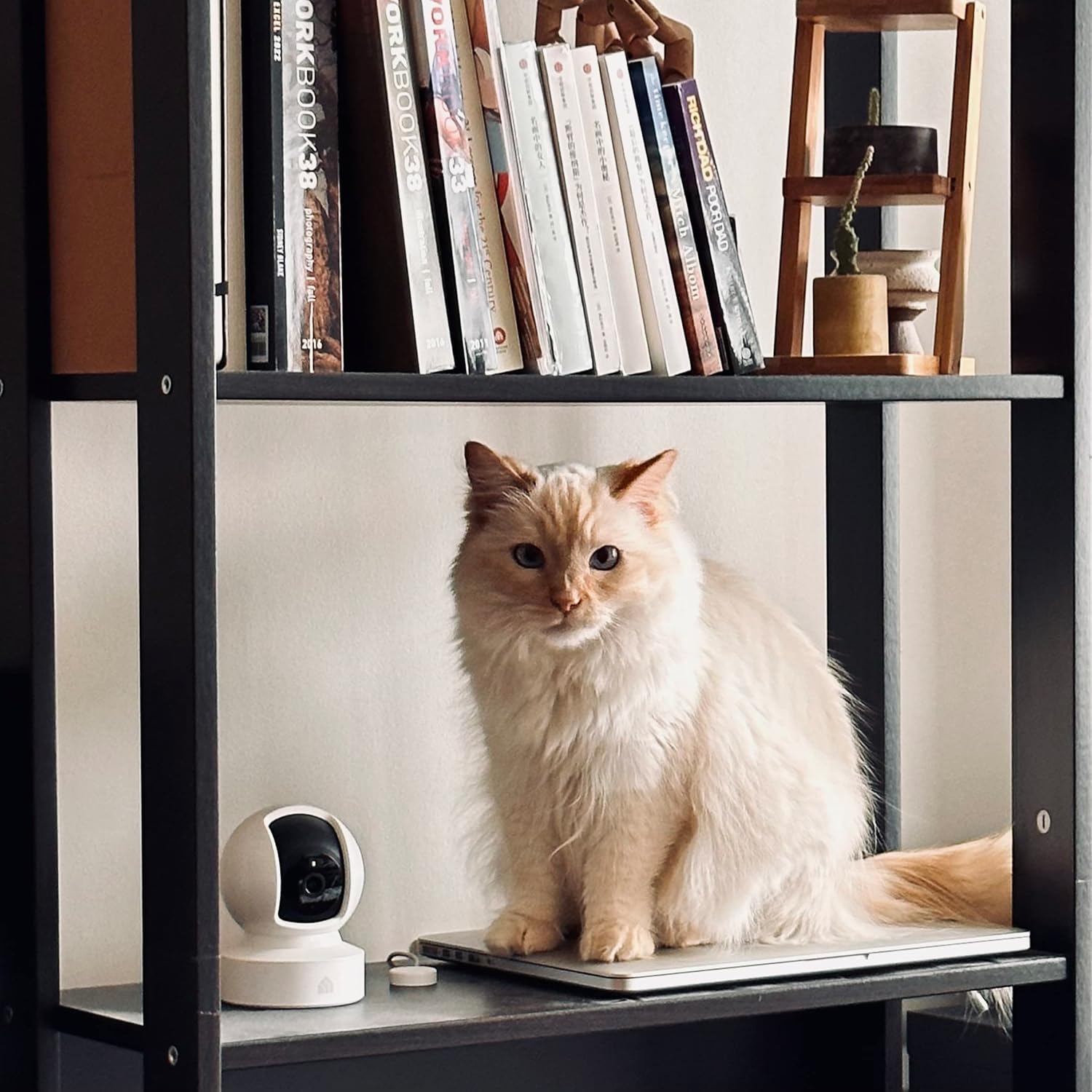 Kasa Indoor Smart Security Camera