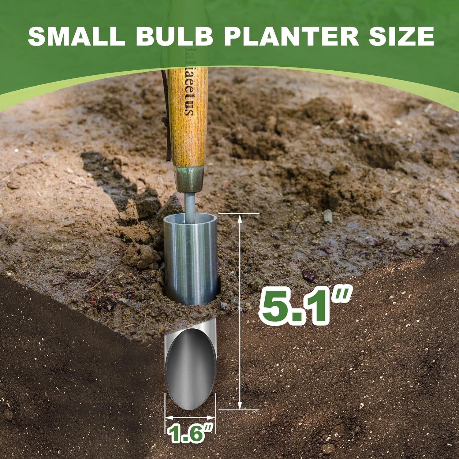 Haliaeetus Small Bulb Planter Tool for Seed Planting