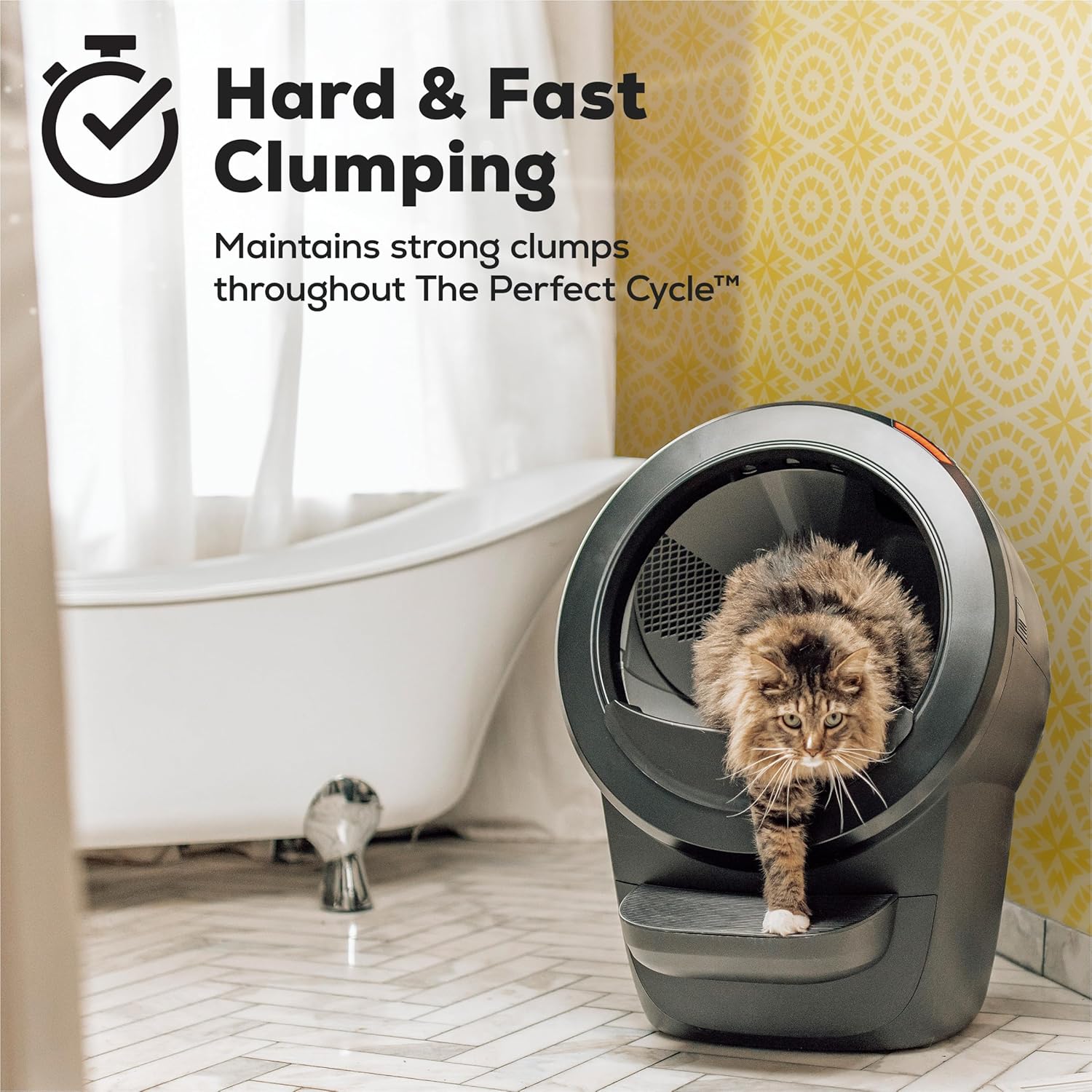 Purina Tidy Cats Clumping Cat Litter