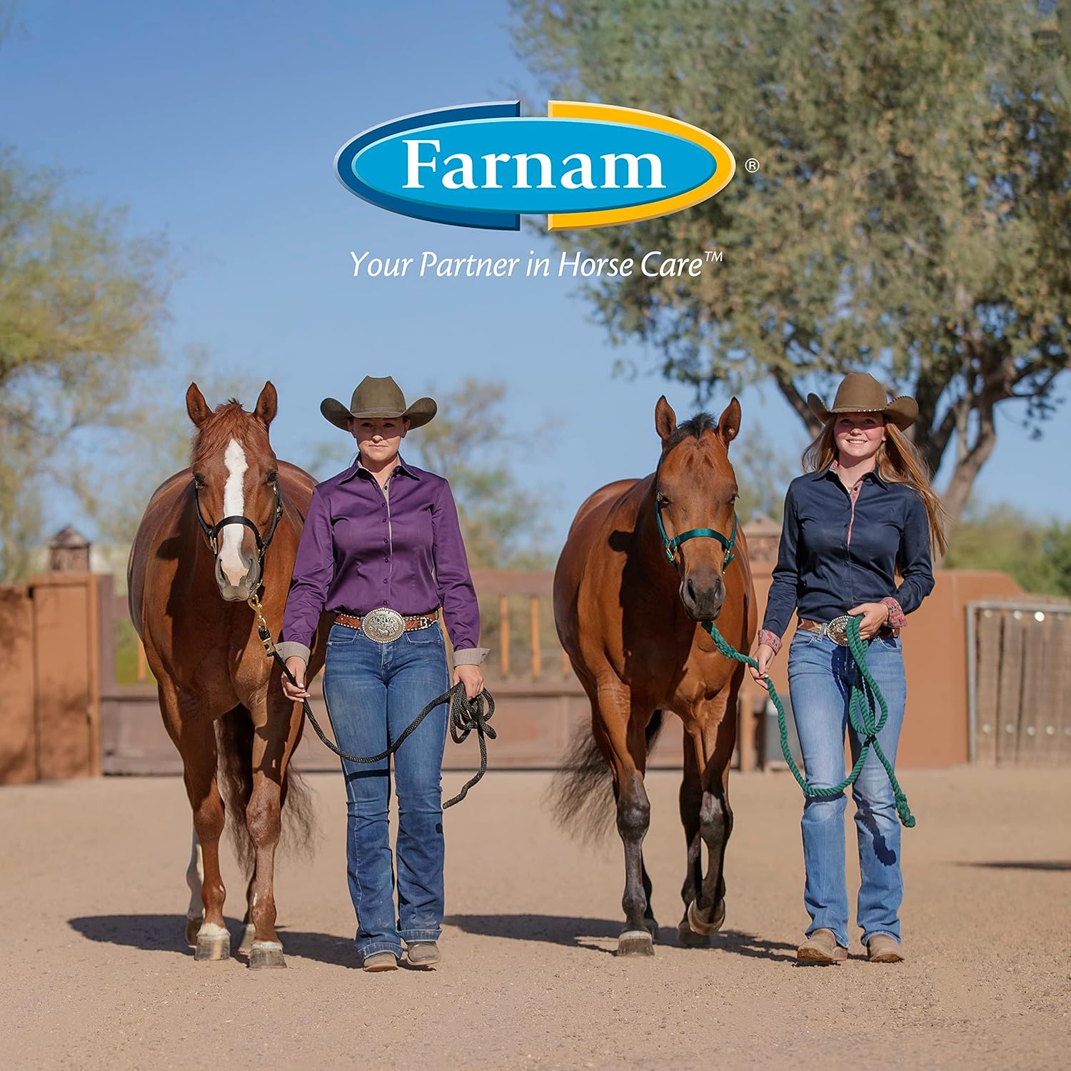 Farnam Horseshoer's Secret Deep-Penetrating Oil for Horses