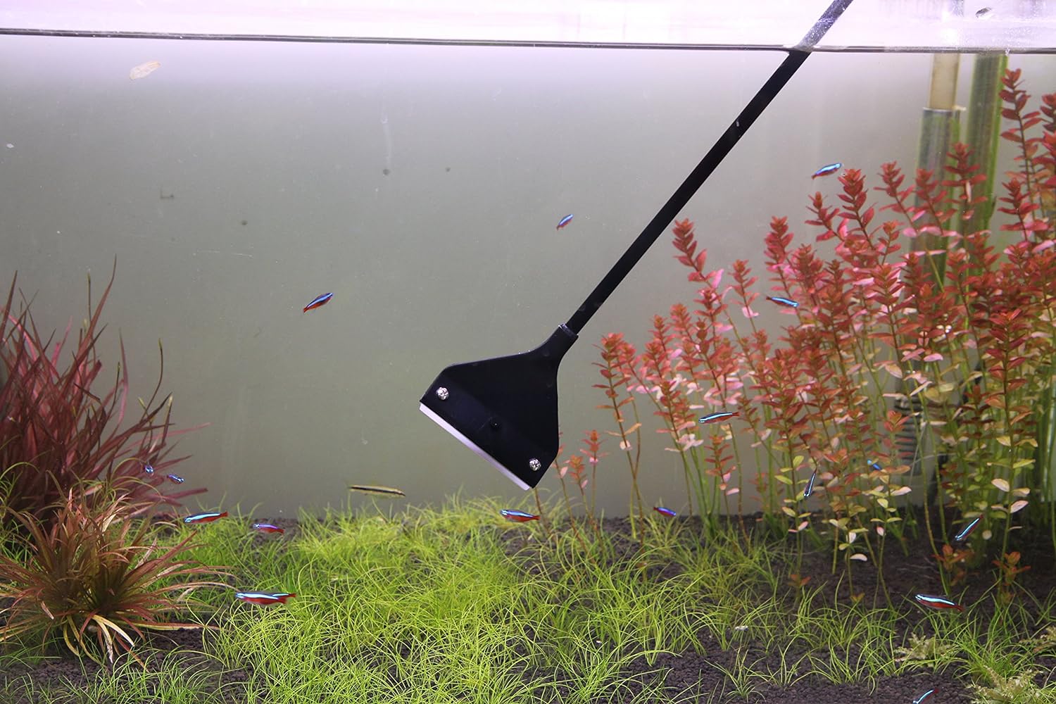 Aquarium Algae Scraper Cleaner Brush