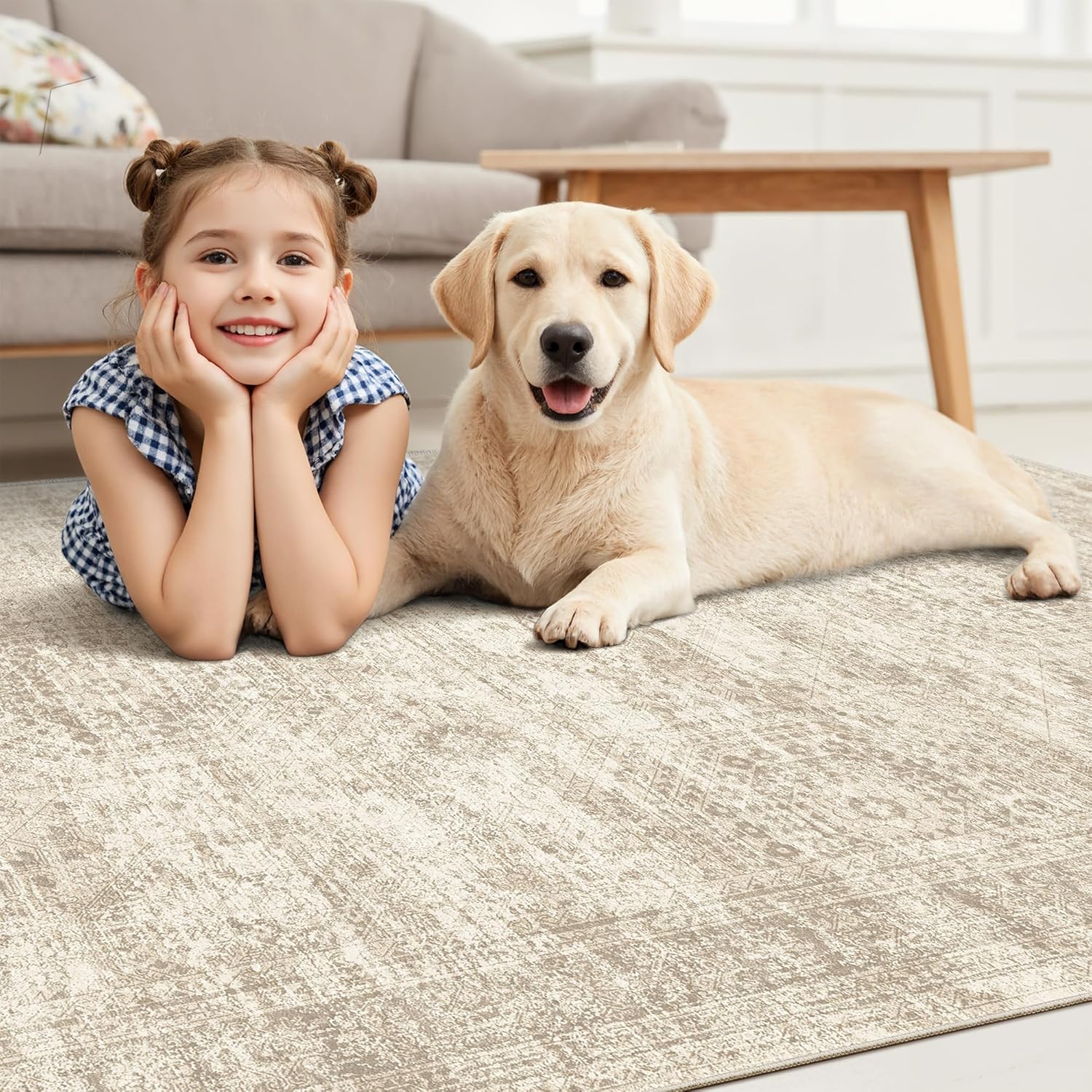 Washable Area Rug Large Soft Rugs for Living Room