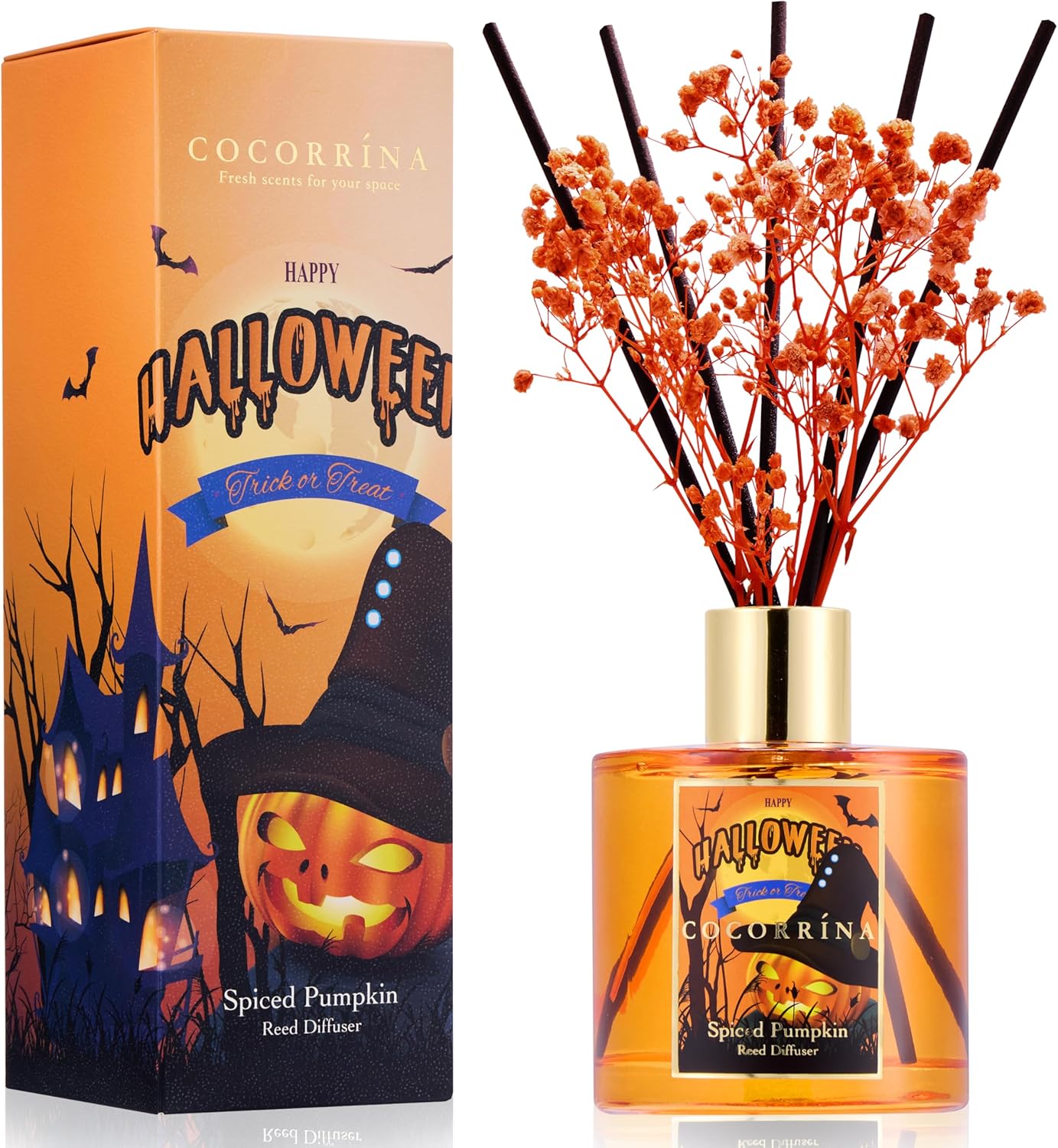 Cocorrína Reed Diffuser Set