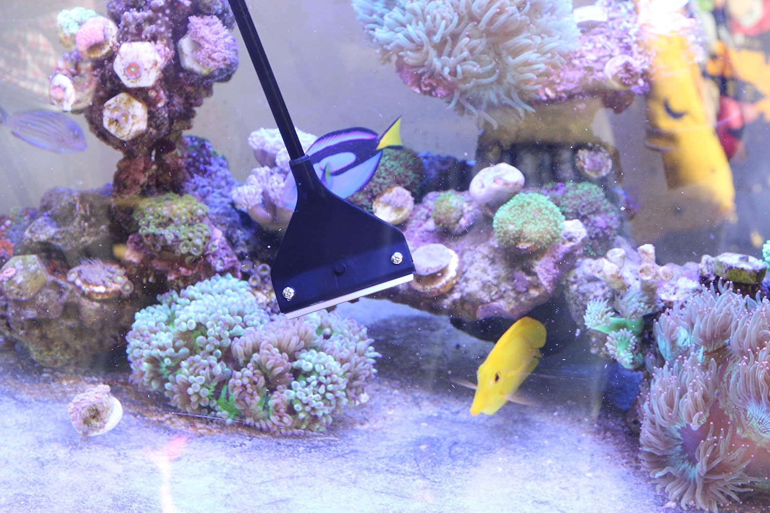 Aquarium Algae Scraper Cleaner Brush