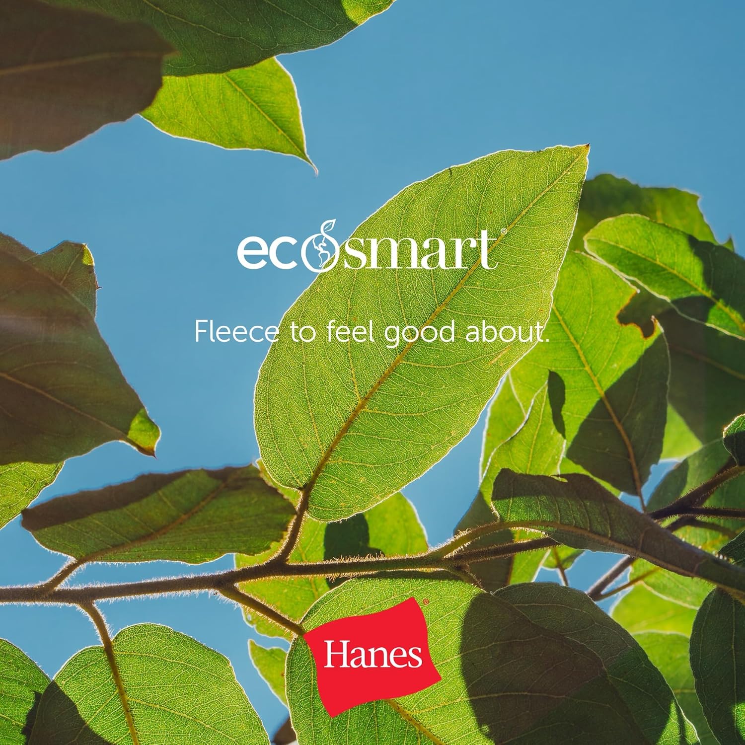 Hanes EcoSmart Hoodie, Hooded Sweatshirt for Men