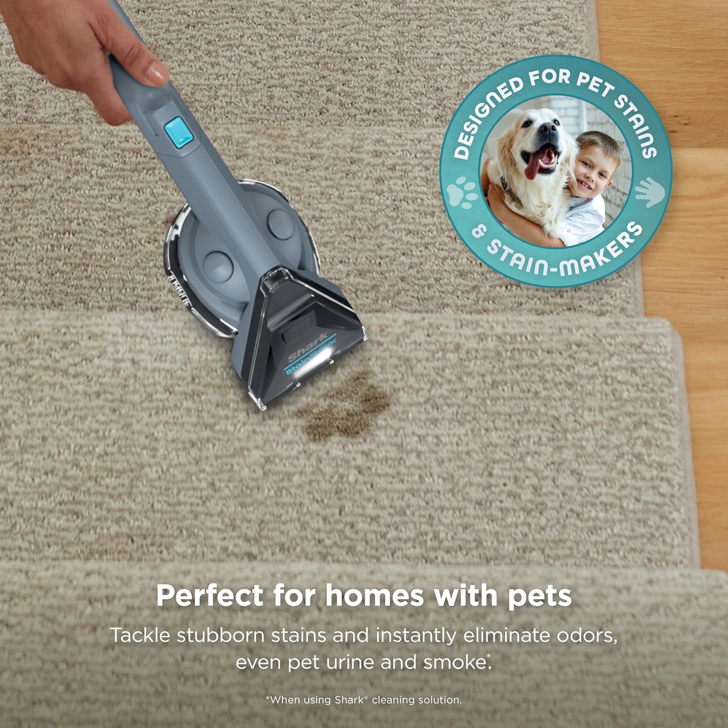 Shark StainStriker Portable Carpet Cleaner