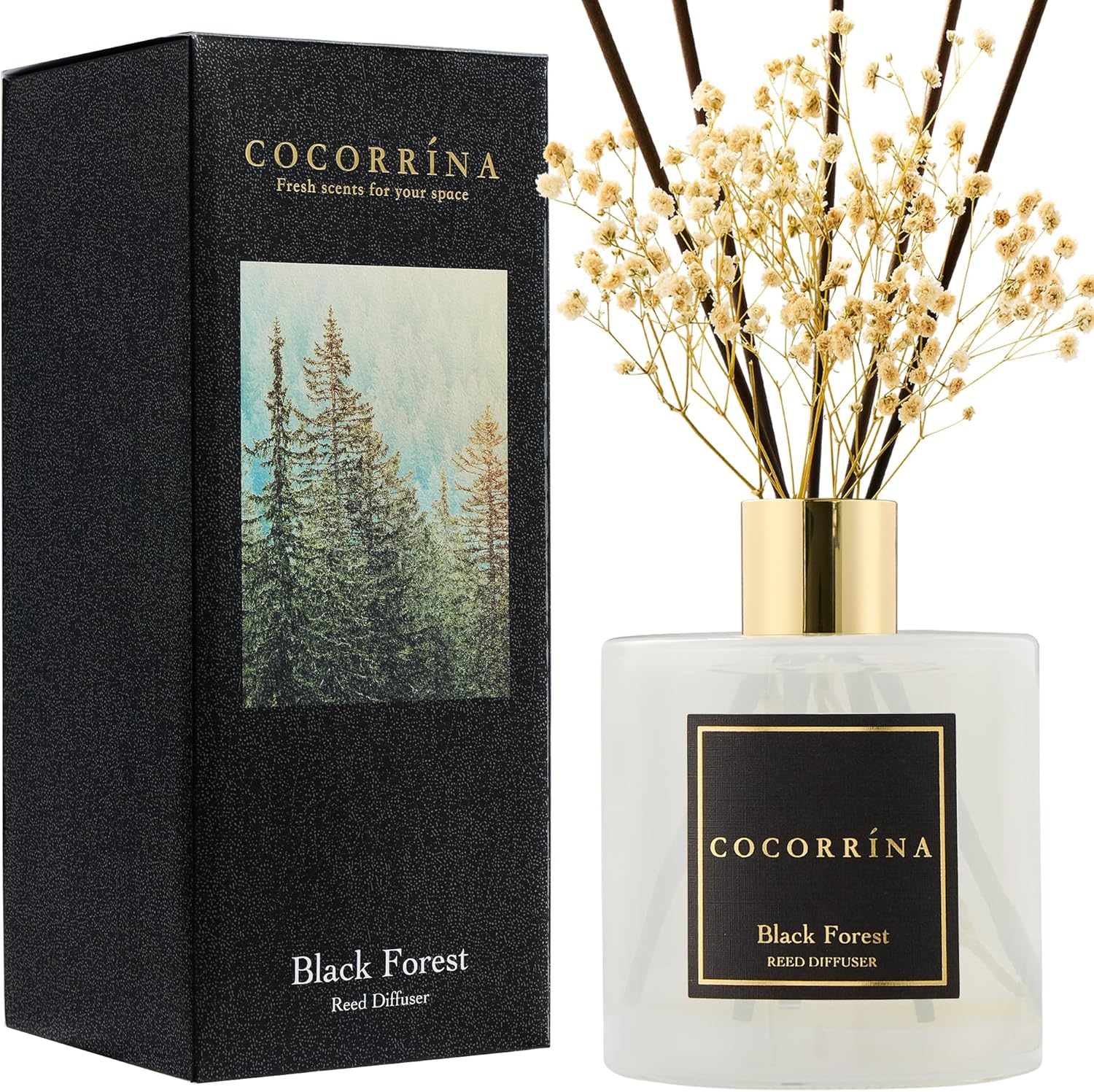Cocorrína Reed Diffuser Set